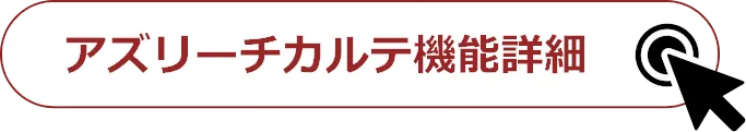 アズリーチカルテ機能詳細
