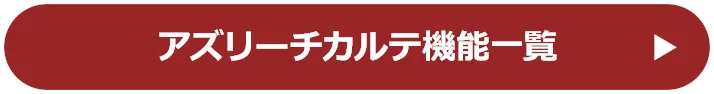 アズリーチカルテ機能一覧