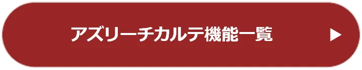 アズリーチカルテ機能一覧